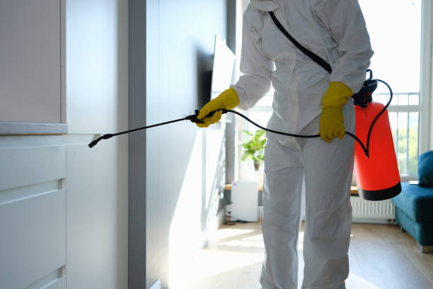 Best Commercial Mold Removal  in Galena, IL