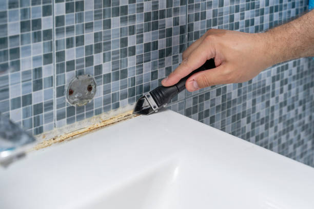 Best Mold Testing  in Galena, IL