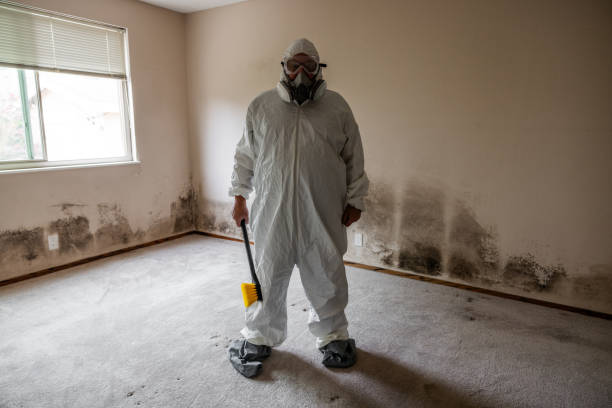 Best Mold Testing  in Galena, IL
